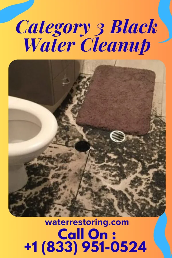 Category 3 Black Water Cleanup in Orient, OR