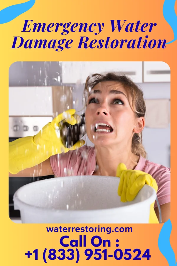 Emergency Water Damage Restoration in Orient, OR