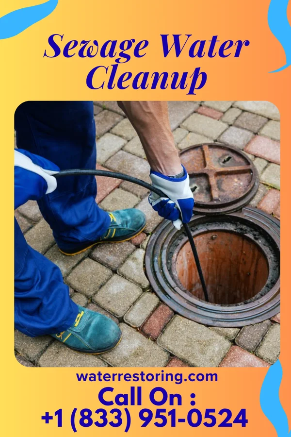 Sewage Water Cleanup in Orient, OR